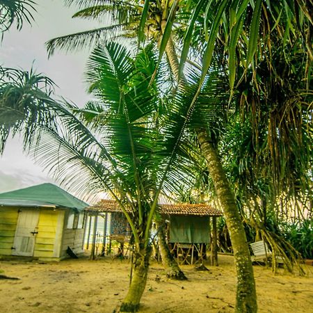 Hikkaduwa Backyard Beach Homestay Галле Экстерьер фото
