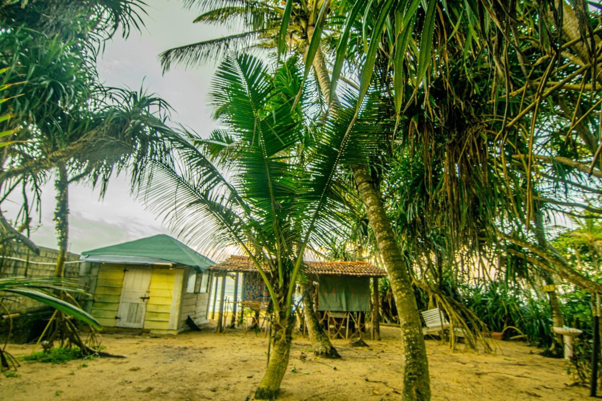 Hikkaduwa Backyard Beach Homestay Галле Экстерьер фото