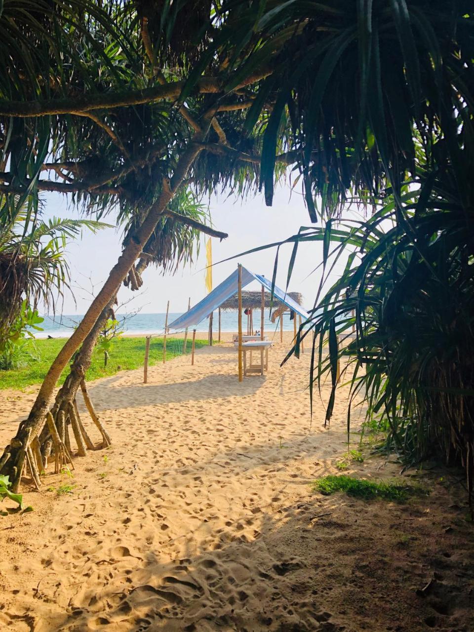 Hikkaduwa Backyard Beach Homestay Галле Экстерьер фото