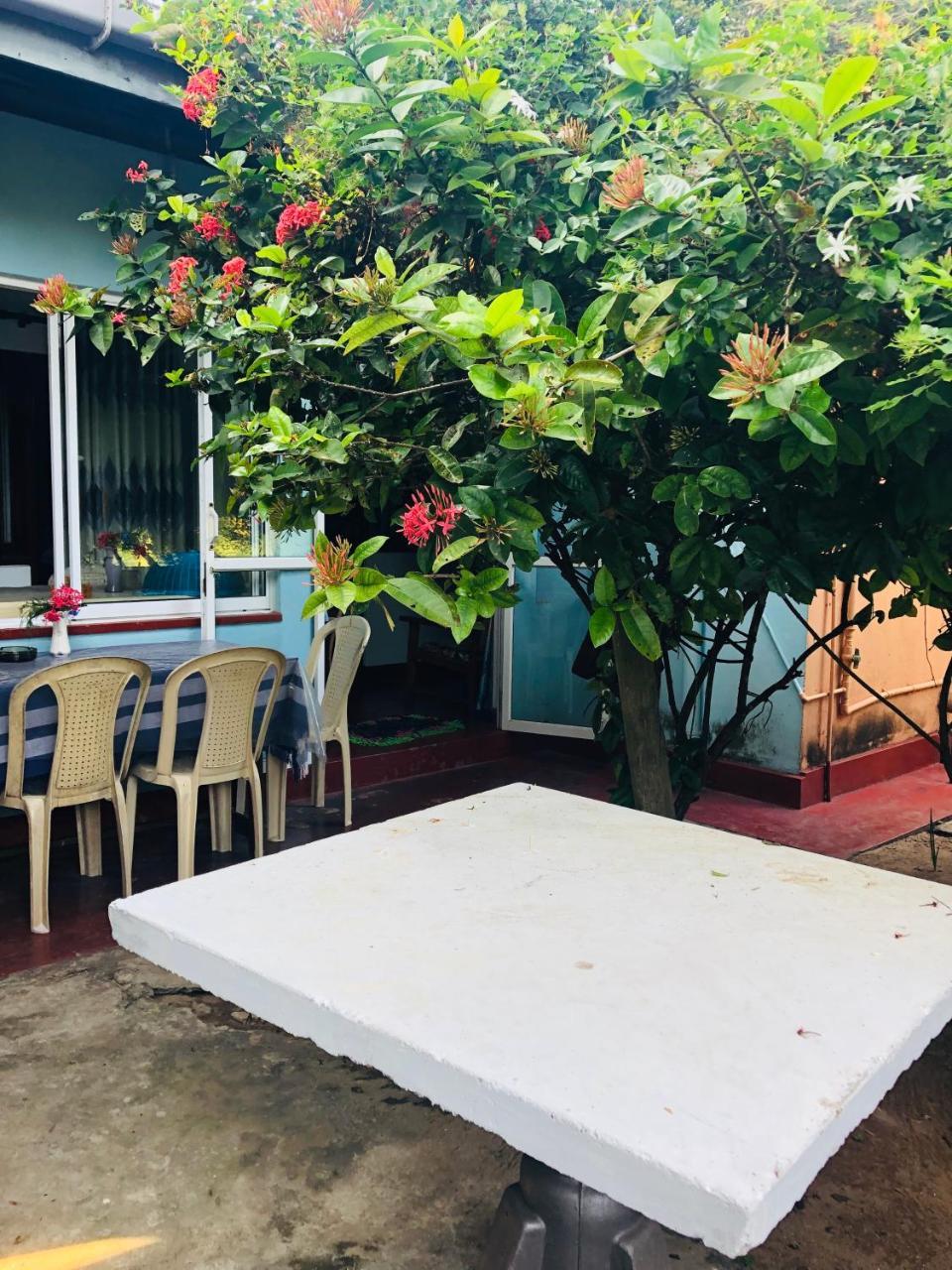 Hikkaduwa Backyard Beach Homestay Галле Экстерьер фото