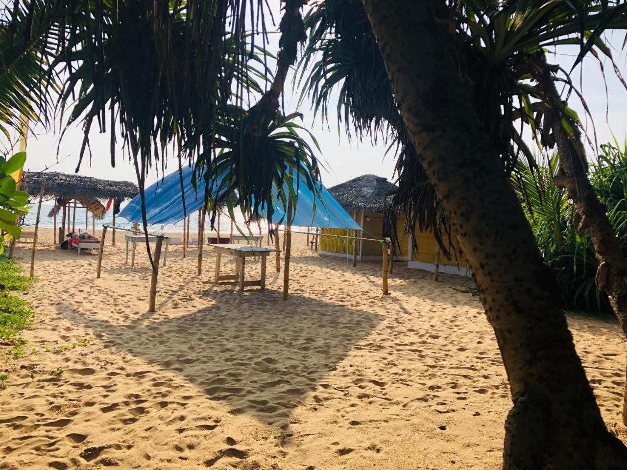Hikkaduwa Backyard Beach Homestay Галле Экстерьер фото