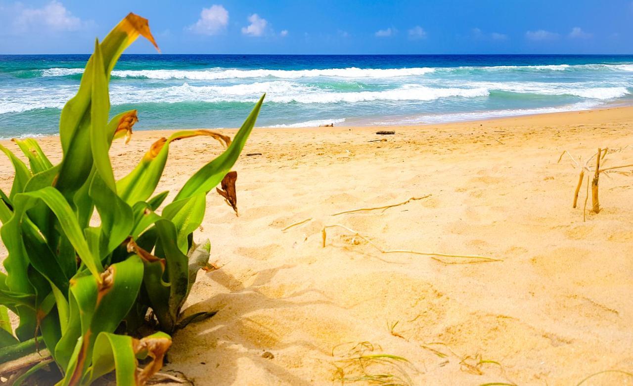 Hikkaduwa Backyard Beach Homestay Галле Экстерьер фото