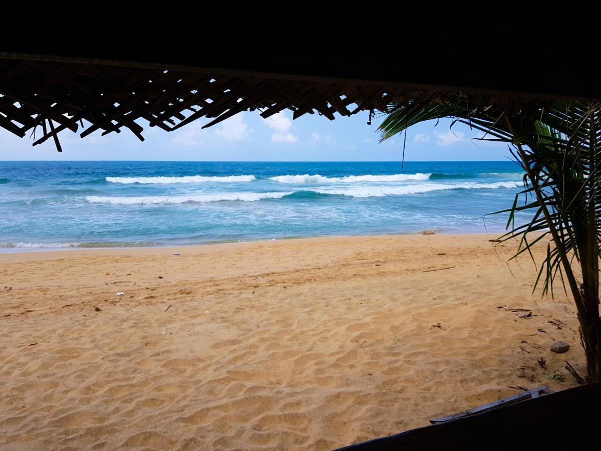 Hikkaduwa Backyard Beach Homestay Галле Экстерьер фото